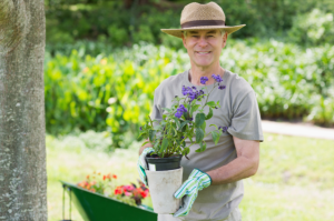 Sunshine can improve mood in seniors